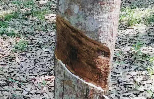 點擊瀏覽下一頁