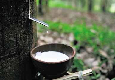 點(diǎn)擊瀏覽下一頁